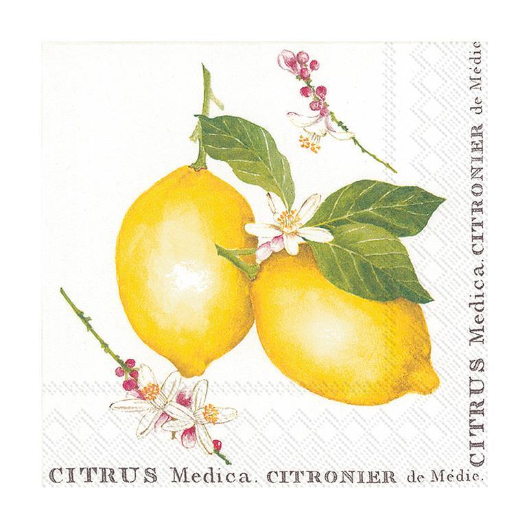 Abbott Paper Napkin set/20 Lemon Citrus Medica