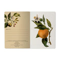 Bruno Visconti Notebook - Oranges & Blossoms 505/81