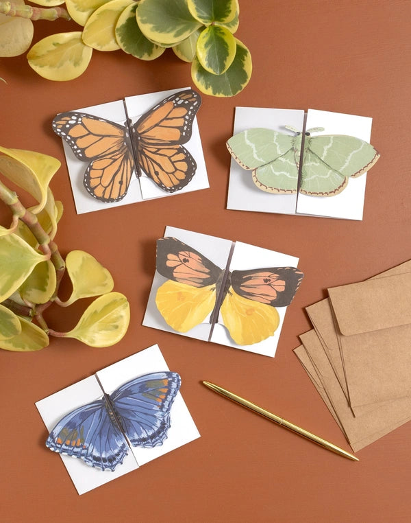 1Canoe2 Flutter Friends Greeting Card Set