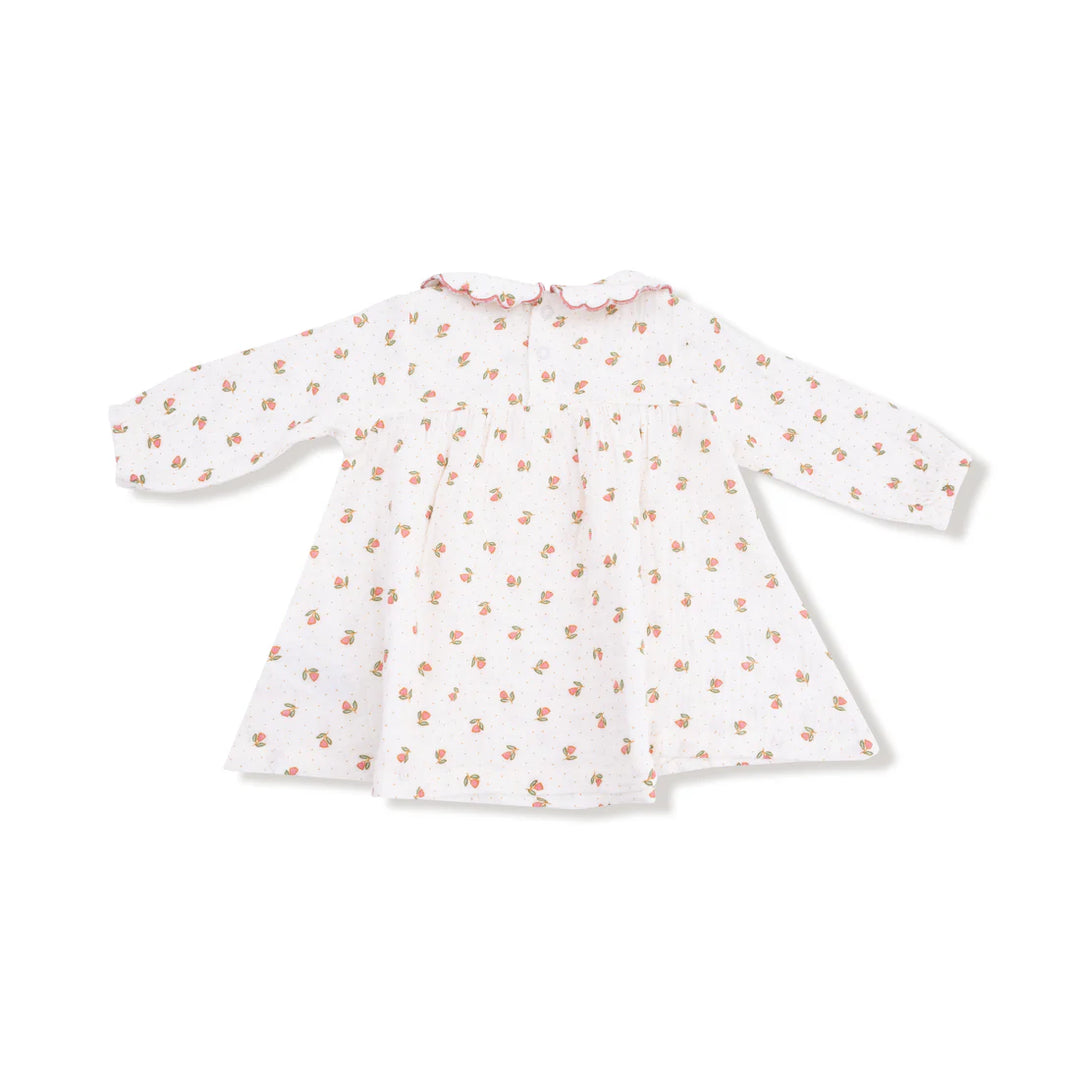 Angel Dear Baby Petal Collar Dress & Bloomer   907-F25-PPF   Petite Pointe Fleur
