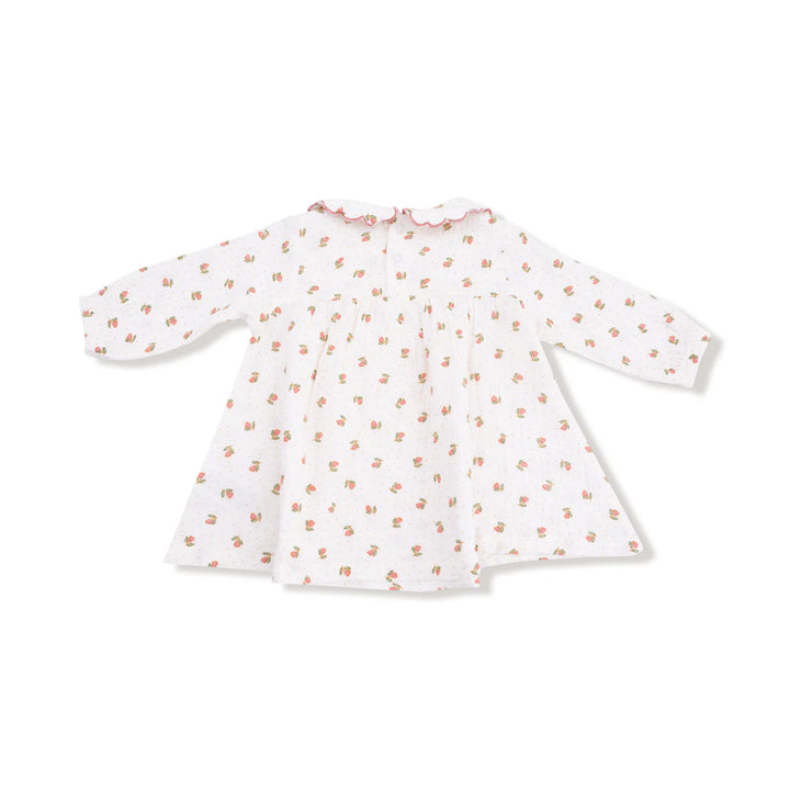 Angel Dear Baby Petal Collar Dress & Bloomer   907-F25-PPF   Petite Pointe Fleur