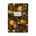 Bruno Visconti Notebook - Oranges & Blossoms 505/81