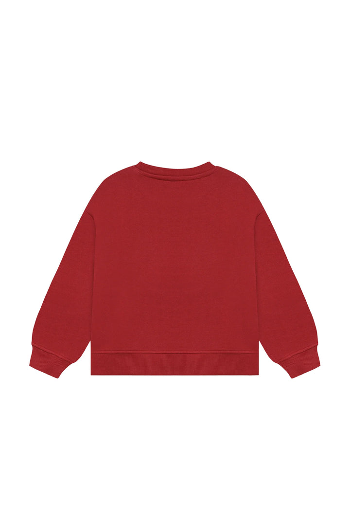 Daily Seven Boys Oversized Sweater  920390-4653  Nachos