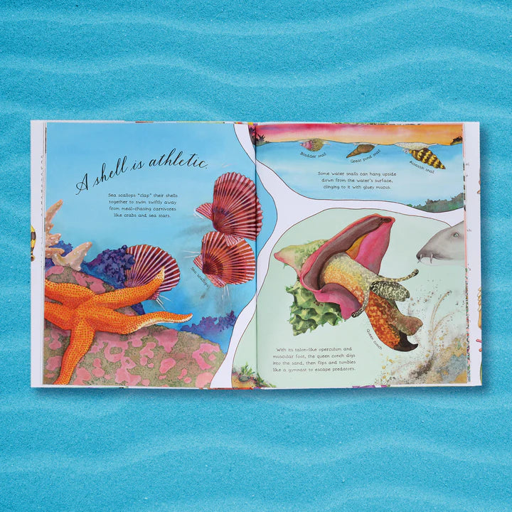 A Shell Is Cozy   by Diana Hutts Aston & Sylvia Long