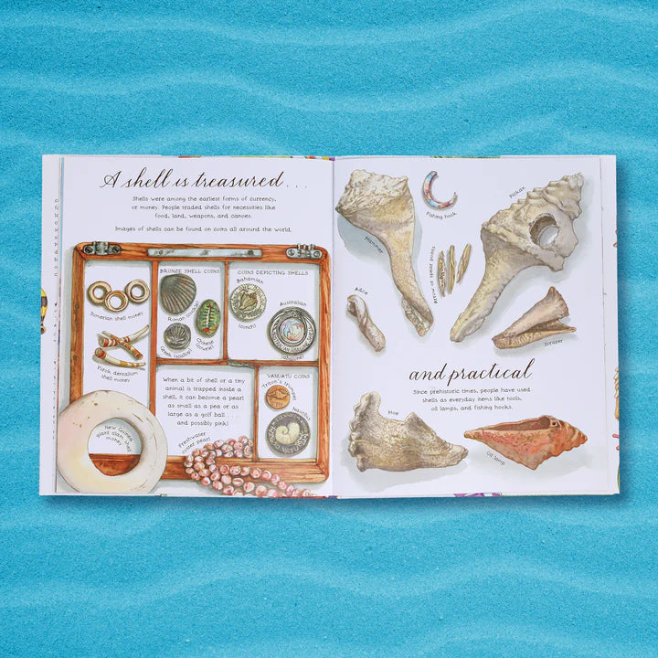 A Shell Is Cozy   by Diana Hutts Aston & Sylvia Long