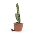 Jellycat Monstera Plant  A2RUB