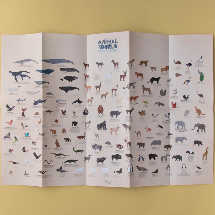 Londji  Animal World Poster& Stickers   AC018U
