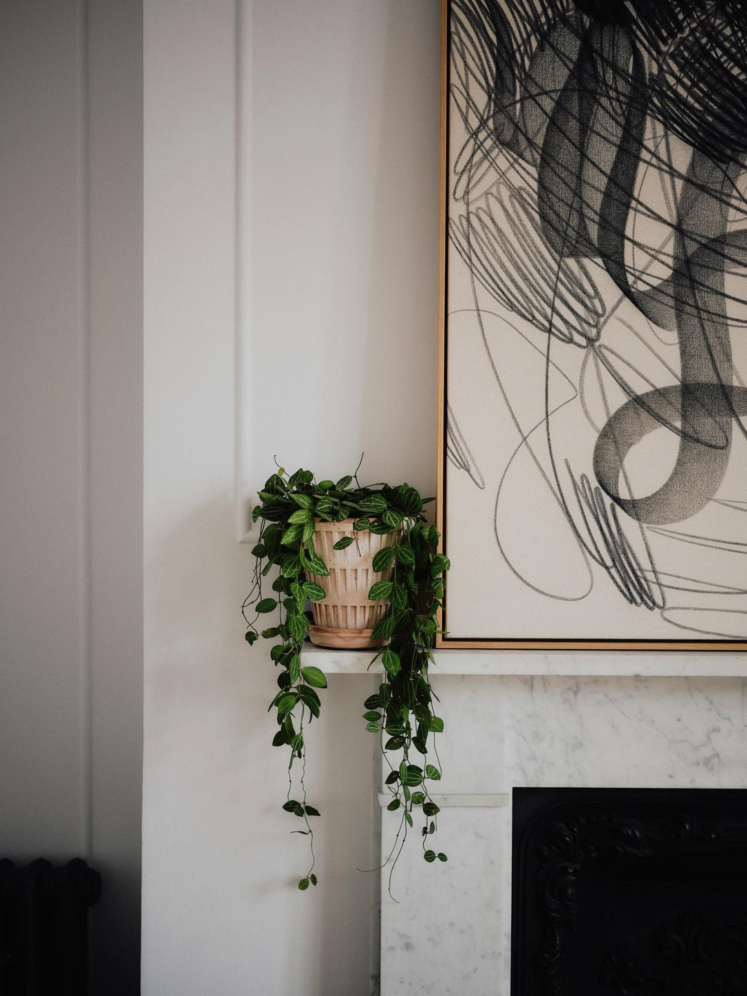 Bergs' Potter Pantheon Rosa