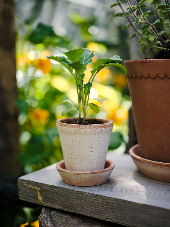 Bergs Potter Helena Pot - Rosa