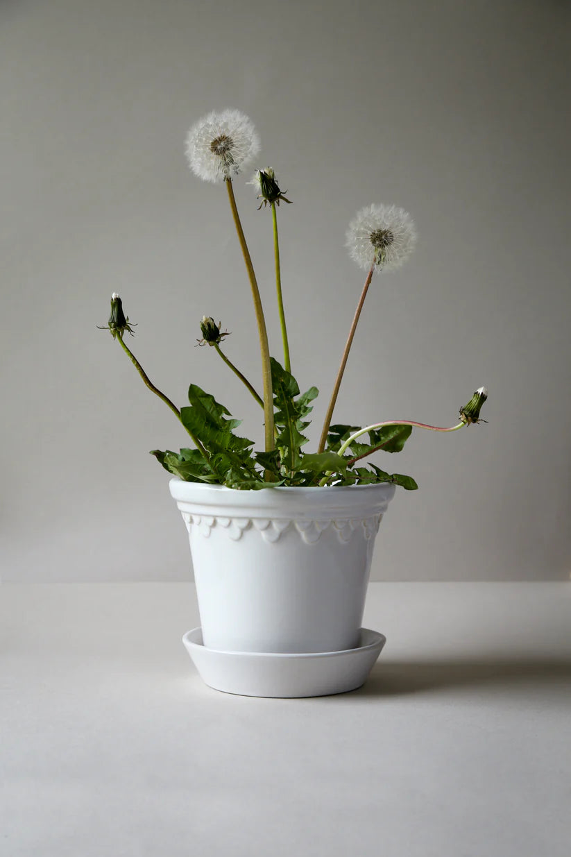 Bergs Potter Kobenhavner Pot - Mineral White