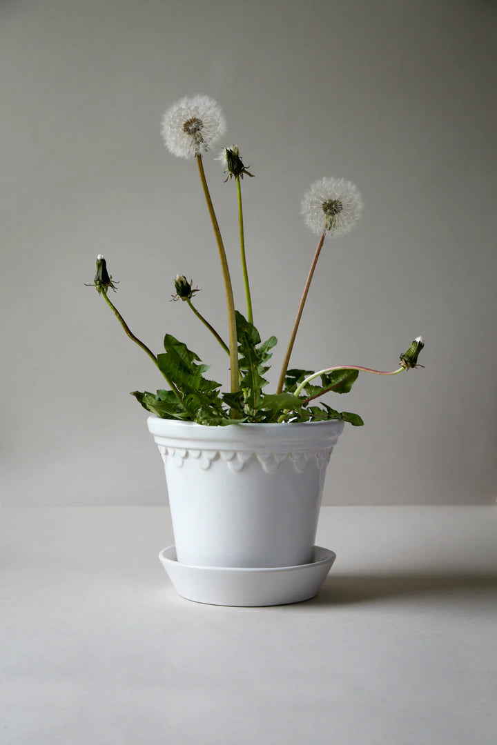 Bergs Potter Kobenhavner Pot - Mineral White