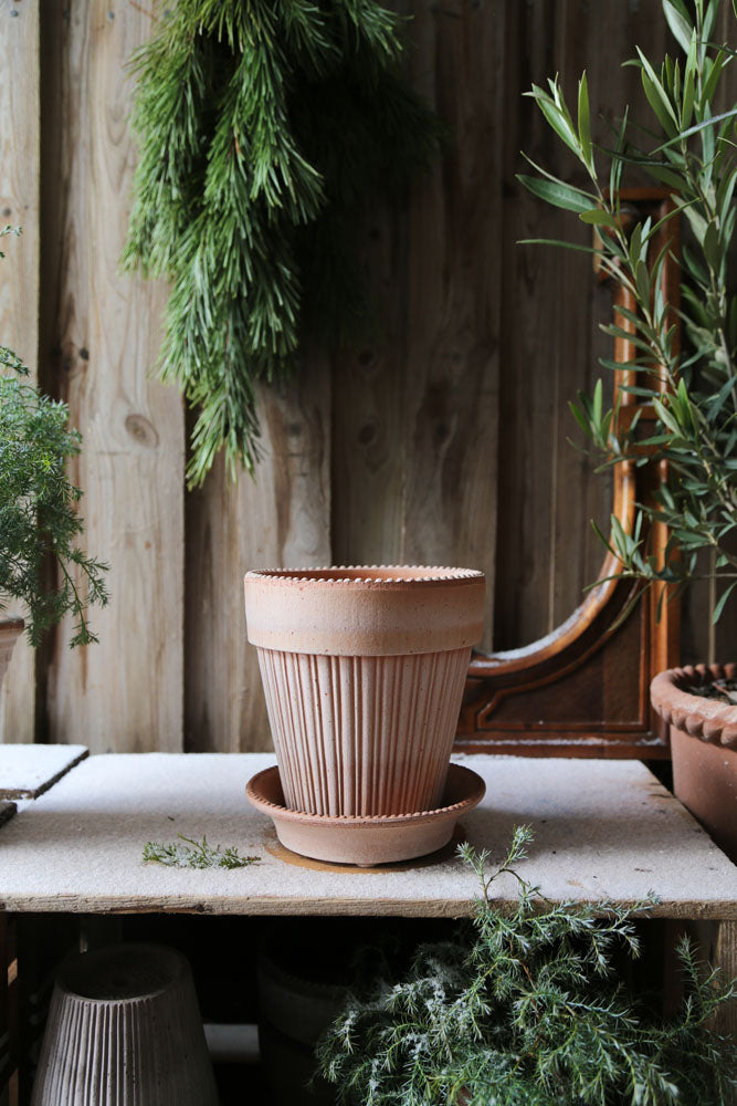 Bergs Potter Simona - Rosa