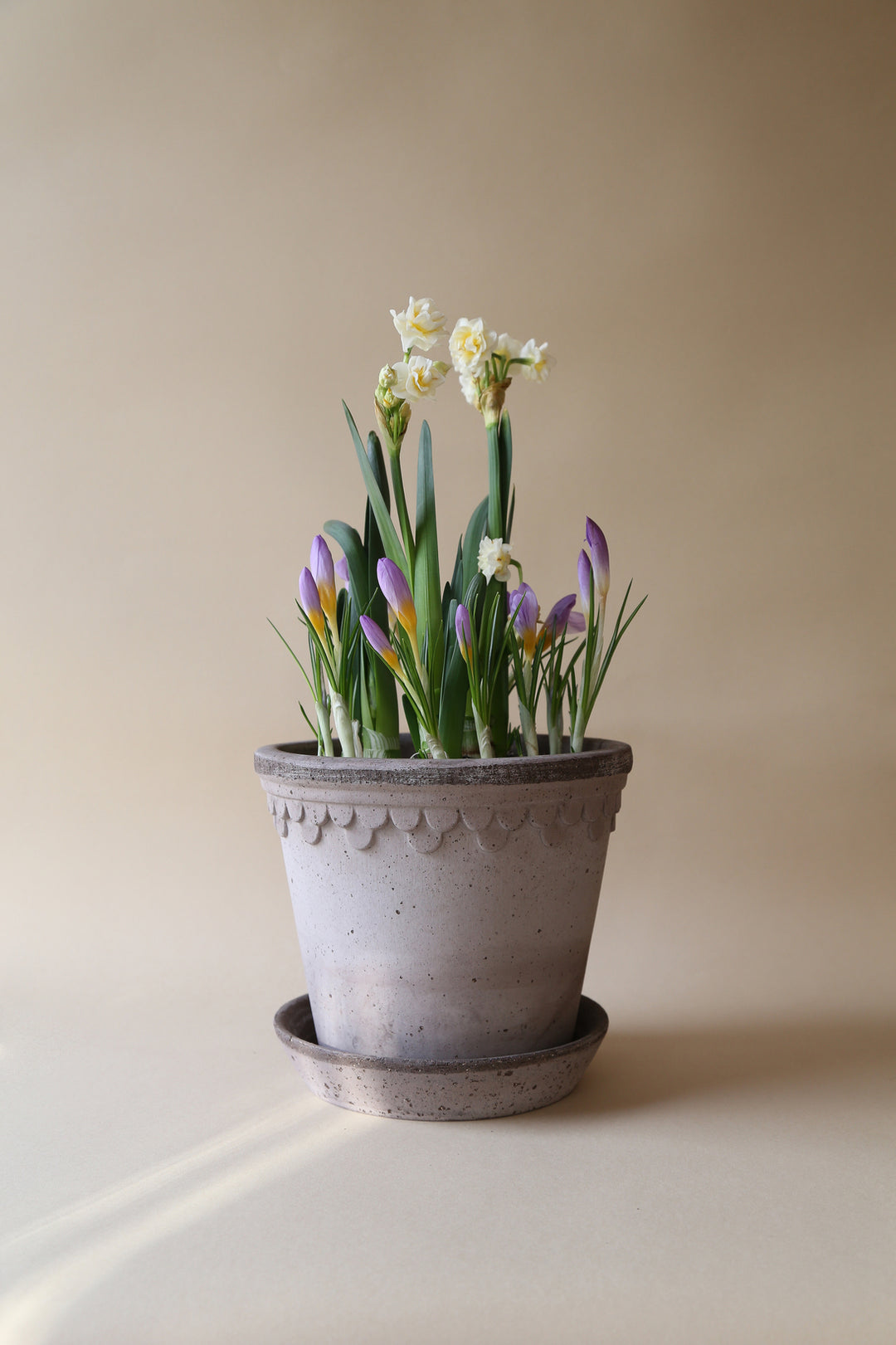 Bergs' Potter Kobenhavner Grey