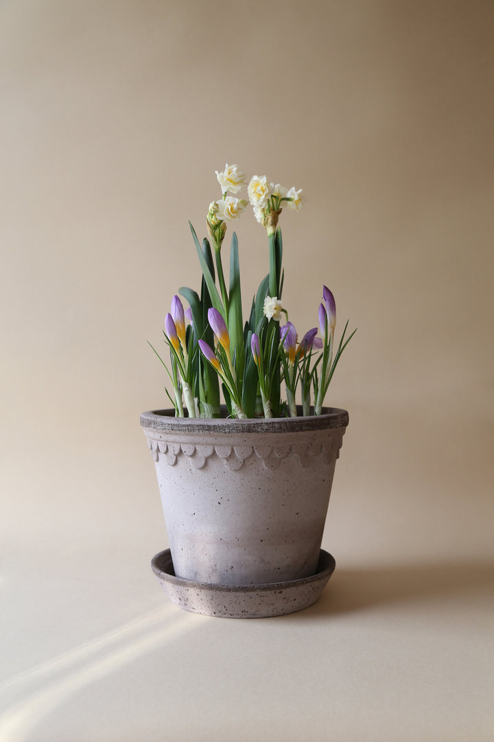 Bergs' Potter Kobenhavner Grey