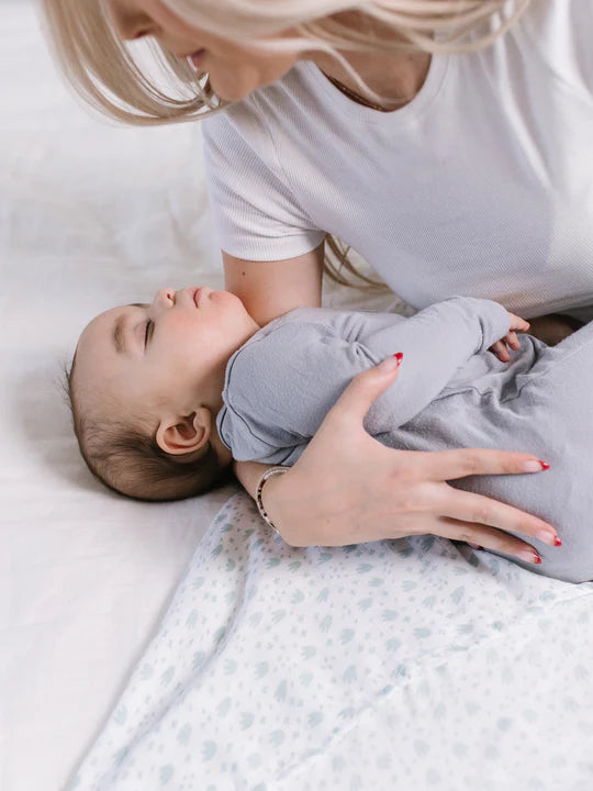 JuJuBe Swaddle Blanket Set  -  Roarsome