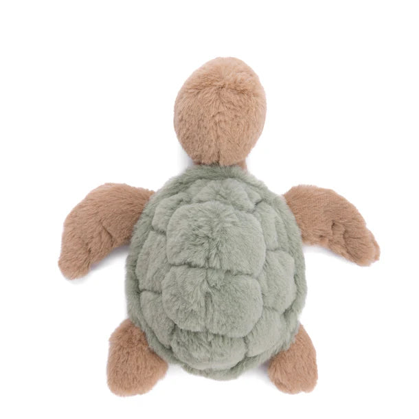 Bukowski Sandy Sea Turtle