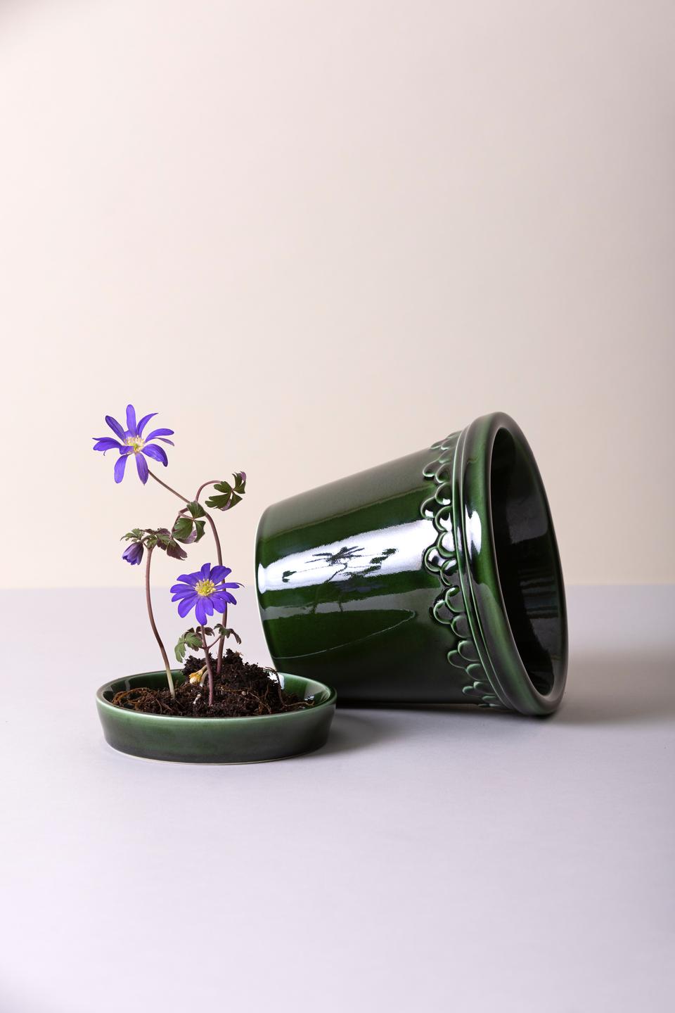 Bergs Potter Kobenhavner Pot - Emerald
