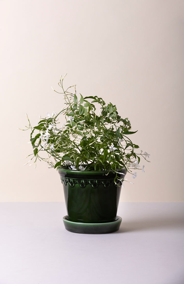Bergs Potter Kobenhavner Pot - Emerald