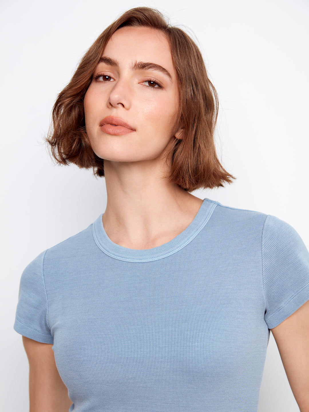 Charlie B Ribbed Crew Neck C1443 Haze