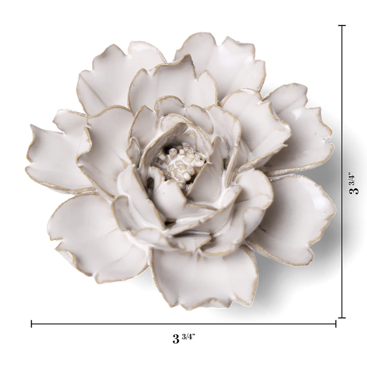 Chive Ceramics Coastal Collection