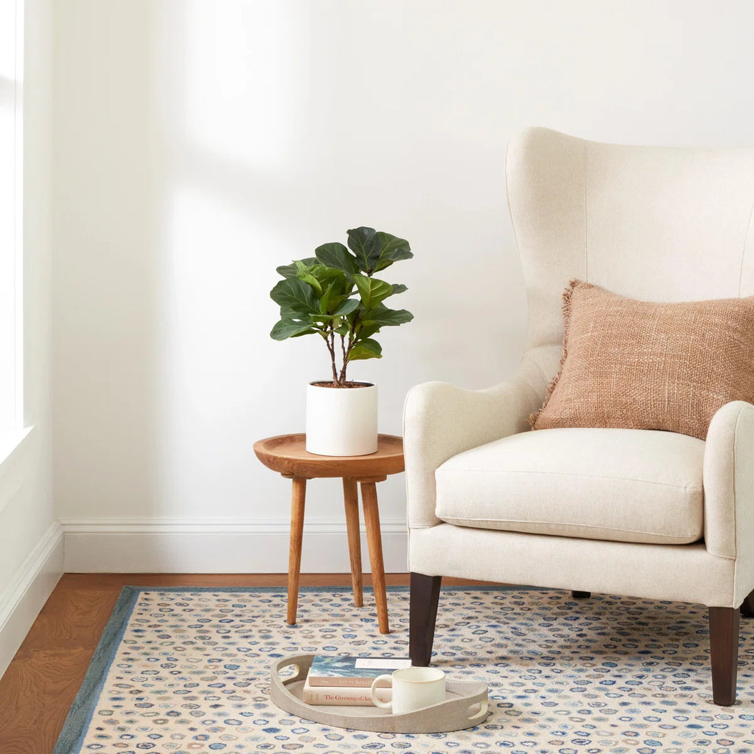 Cat's Paw Mineral Micro Hooked Wool Rug