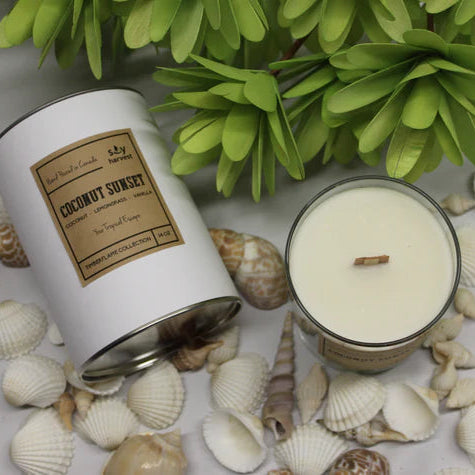 Soy Harvest Timberflame Candle - Coconut Sunset