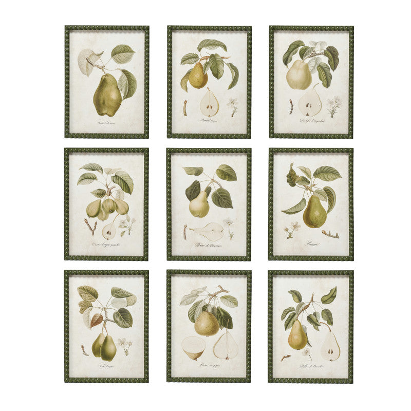 Creative Coop Pear Prints DF9604A