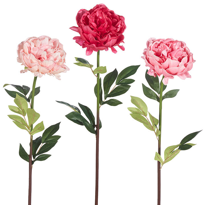 Raz Real Touch Peony Stem F4002107