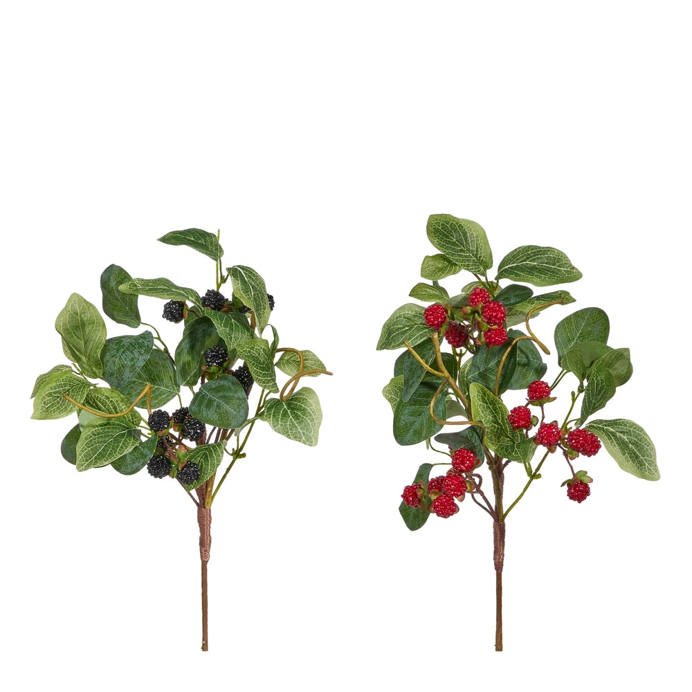 Raz Berry Pick F4502066