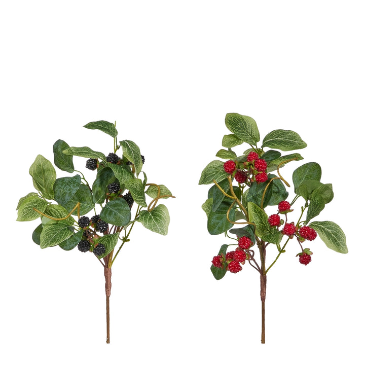 Raz Berry Pick F4502066