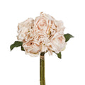 Raz Antique Ivory Rose Bundle F4522691