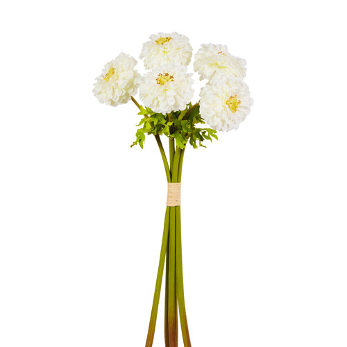Raz White Zinnia Bundle F4522698