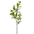Raz Sedum Branch F4602056