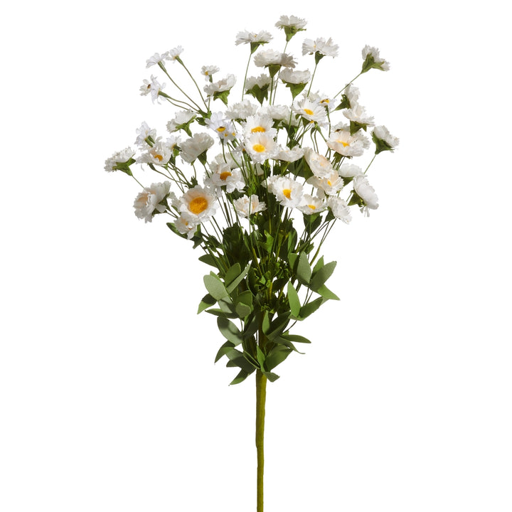 Raz Diasy Stem F4602086
