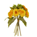Raz Sunflower Bundle F4602213