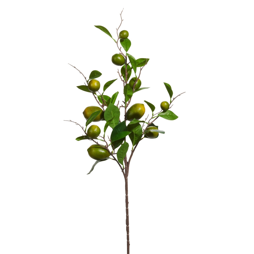 Raz Lime Stem F4602248