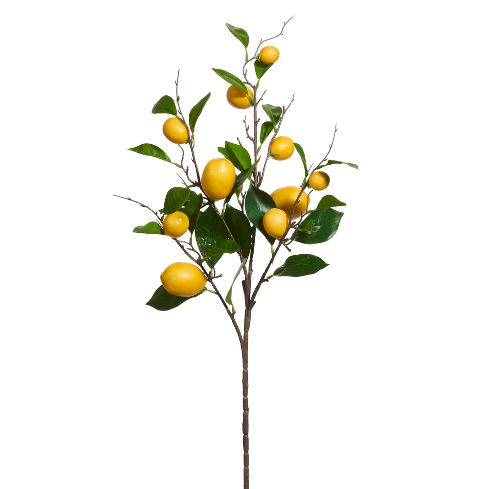 Raz 36" Lemon Stem F4602250