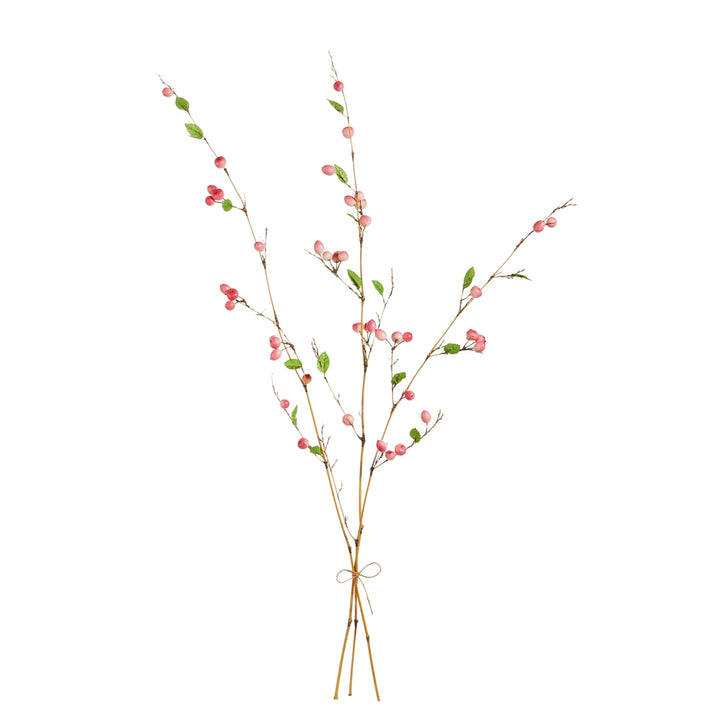 Raz Pink Berry Bundle F4609834