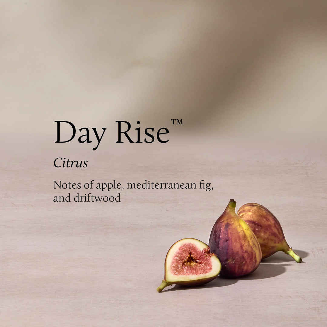 Thymes The Hours Edit 2 Wick Candle  -  Day Rise