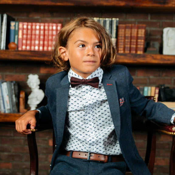 Appaman Standard Dress Shirt  E8STA  The Pointer *