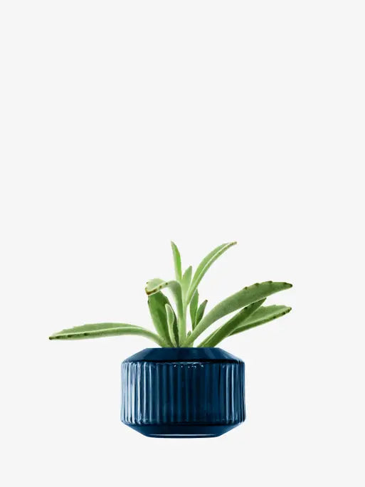 LSA Sapphire Rotunda Collection