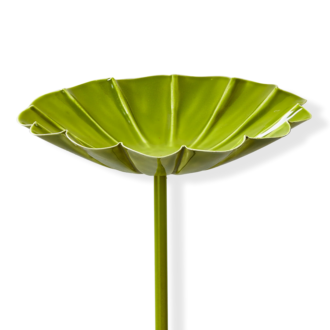 Tag Bird Bath Garden Stake G21140 Lime