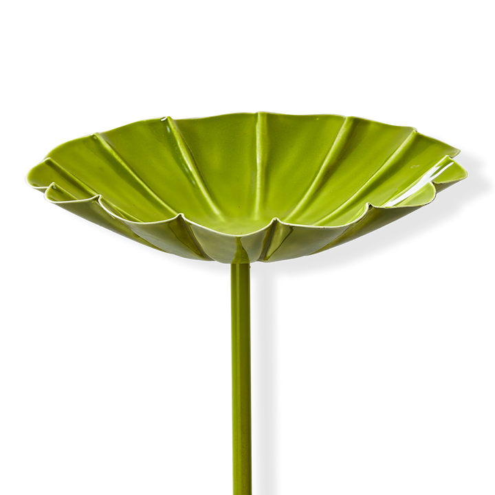 Tag Bird Bath Garden Stake G21140 Lime