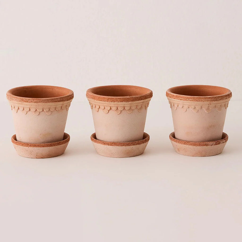 Bergs' Potter Kobenhavner Rosa - 3 pack