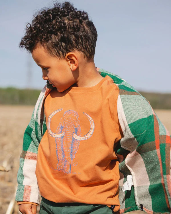 Deux Par Deux Boys Long Sleeve Tee   H20S65-931   Cashew **