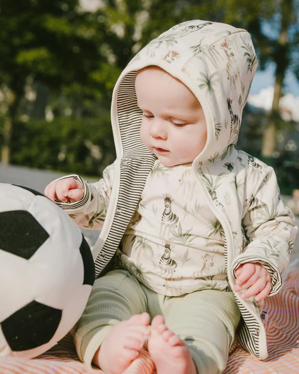 Deux Par Deux Baby Boy Tee Shirt And Pant Set   H30C14   Printed Zebra Jungle