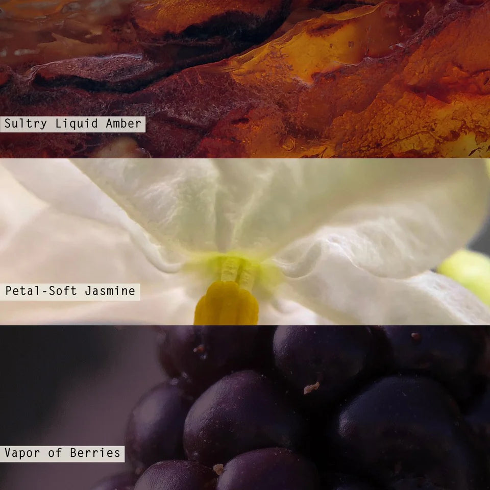 Illume Blackberry Absinthe Demi Vanity Tin Candle