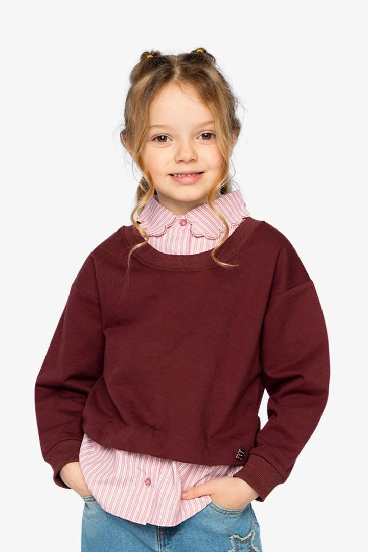 Deux Par Deux Girls Sweater   J20M31   Chocolate Truffle