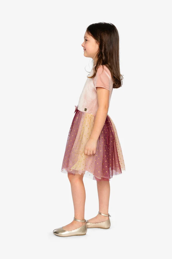 Deux Par Deux Girls Fancy Dress   J20G89   Ash Rose