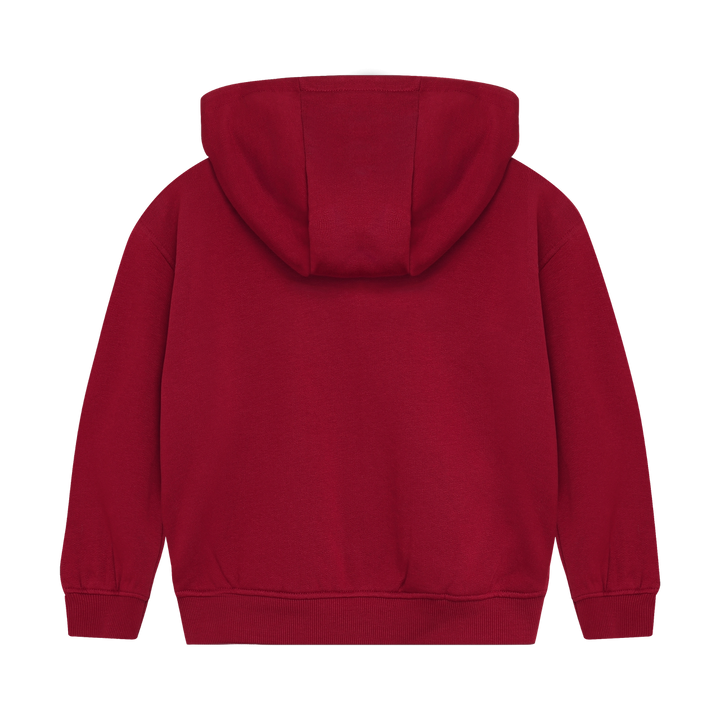 Daily Seven Boys Basic Hoodie With Zipper Closure   920401-4653
